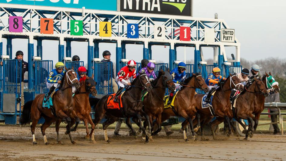 Demoiselle Stakes Aqueduct fillies juvenile Kentucky Oaks gambling exacta Muhimma Brad Cox Bless the Broken Will Walden Beauty Reigns Bill Mott Ballerina d’Oro Liam in the Dust upset handicapping horse racing