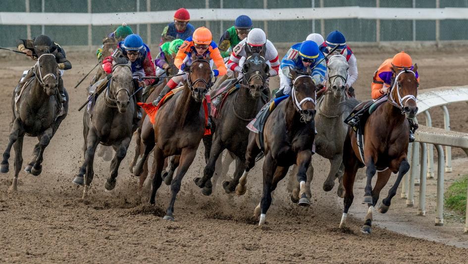 Louisiana Derby Kentucky Derby Honor Marie Catching Freedom Real Men Violin Track Phantom Ken McPeek Todd Pletcher Next Level Antiquarian John Velazquez Tyler Gaffalione Fair Grounds Chad Brown Tuscan Gold Hall of Fame