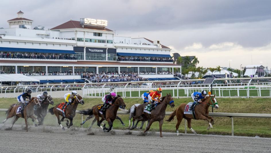 Gulfstream Park gambling betting handicapping track trends tips jockeys trainers turf all-weather Ortiz Saez Pletcher Joseph Mott Saez Gaffalione Castellano Maker D’Angelo Sano Zayas Pegasus World Cup Florida Derby Holy Bull Fountain of Youth