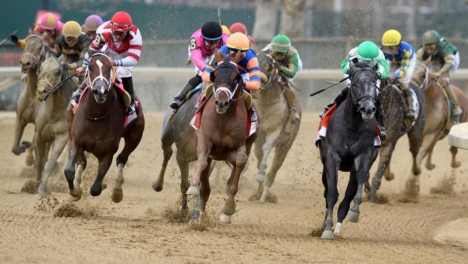 Wood Memorial Stakes Cheat Sheet Aqueduct NYRA Kentucky Derby Resilience El Grande O Lonesome Boy Deterministic Protective Evening News Merit Elysian Meadows Tuscan Sky Gettysburg Address Society Man Deposition Uncle Heavy