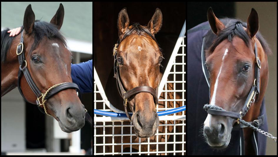 Fierceness, Thorpedo Anna, Dornoch, Saratoga Race Course, Travers Stakes, Coady Media, Eclipse Sportswire