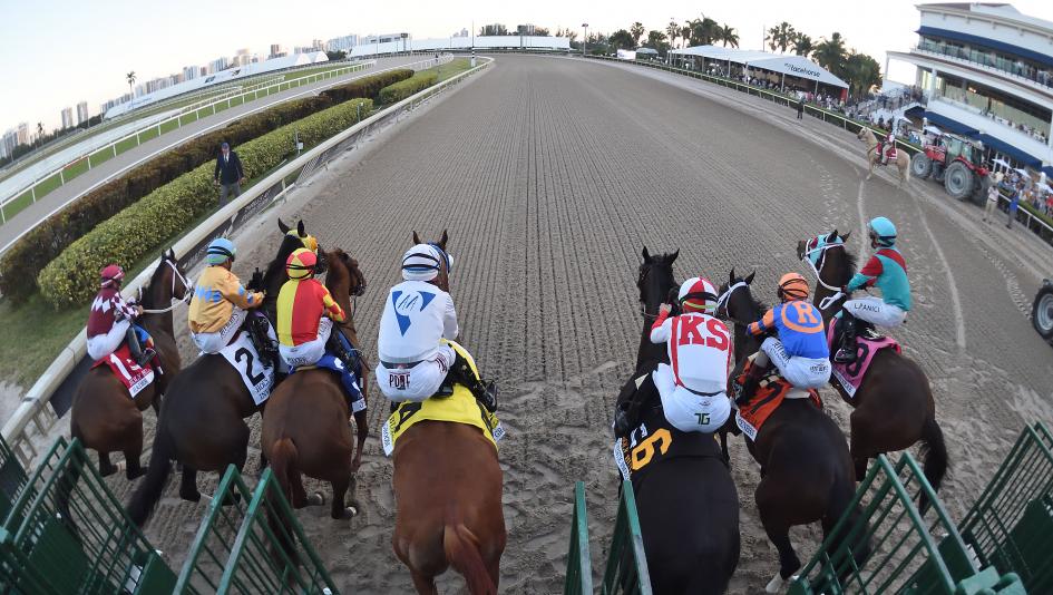 Derby Dozen Byron King BloodHorse Kentucky Derby horse racing Hades Catching Freedom Mystik Dan Honor Marie Nash Timberlake Forever Young Sierra Leone Track Phantom Locked Fierceness Dornoch Nysos 