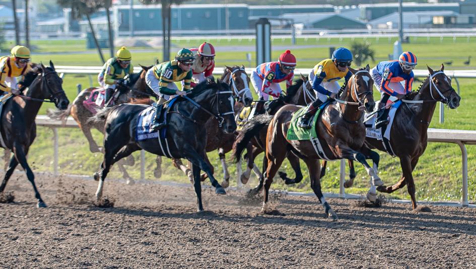 Derby Dozen BloodHorse Byron King Kentucky Derby Louisiana Derby Jeff Ruby Steaks Florida Derby UAE Derby Arkansas Derby Liberal Arts Dornoch Fierceness Sierra Leone Forever Young Catching Freedom Timberlake Mystik Dan Deterministic Conquest Warrior Hades