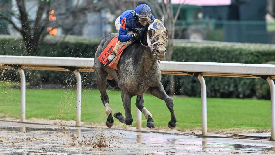 Wet Paint, Honeybee Stakes, Oaklawn Park, Apple Blossom Handicap, Eclipse Sportswire