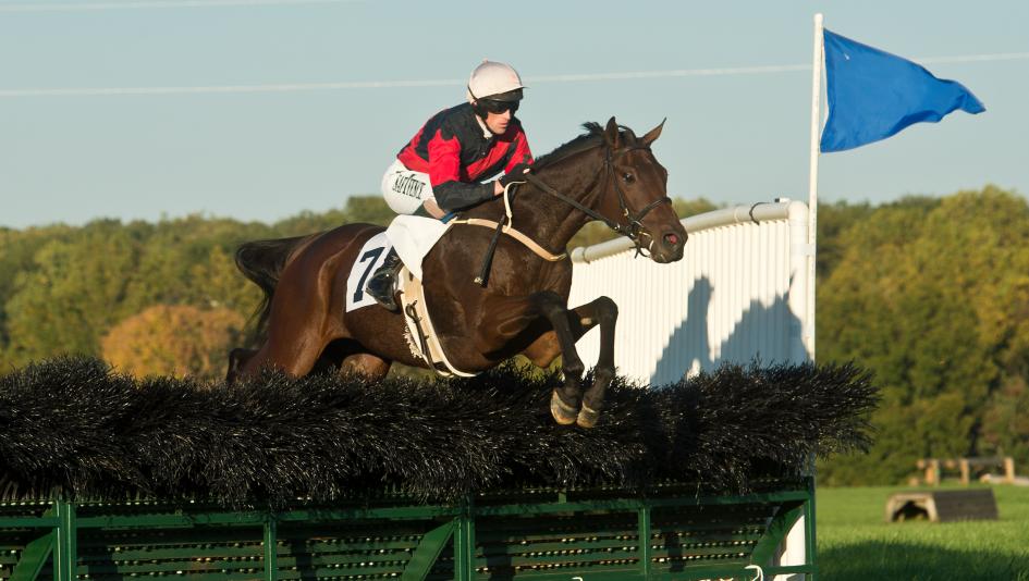 Middleburg Spring Races Temple Gwathmey hurdle stakes