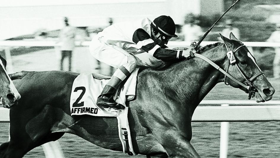 Affirmed wins the 1979 Hollywood Gold Cup.