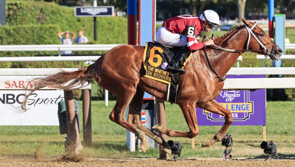 Gun Runner, Whitney Stakes, Saratoga race Course, Eclipse Sportswire
