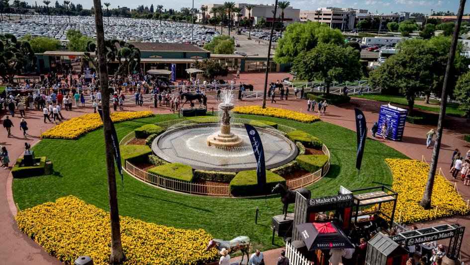 Breeders’ Cup World Championships TV radio television streaming Santa Anita Park NBC Sports USA Network FanDuel TV Peacock FS2 Melbourne Cup Aqueduct Churchill Downs Gulfstream Woodbine RTN Byk HRRN NYRA America’s Day at the Races 