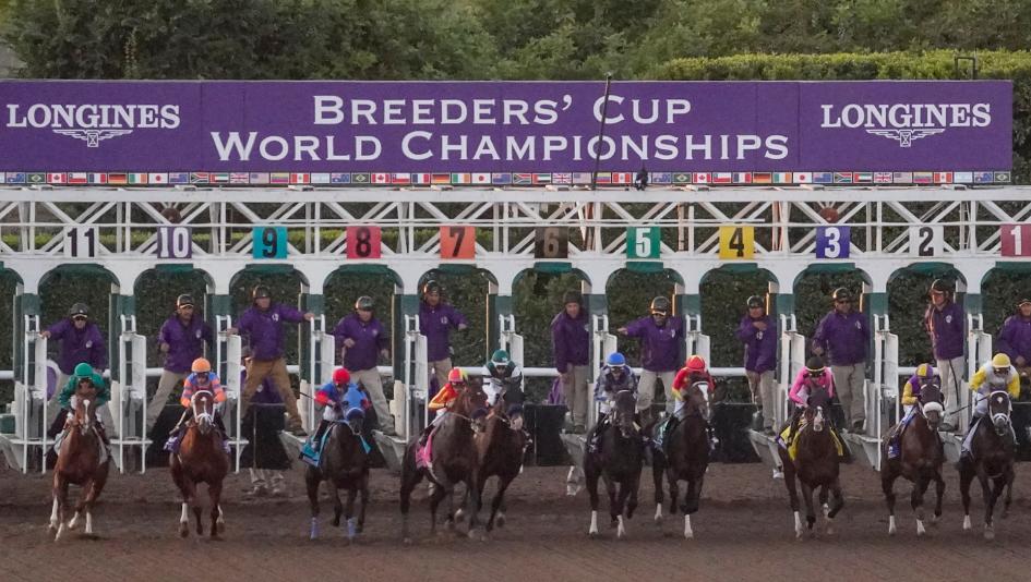 Breeders’ Cup World Championships Santa Anita Park TV television Peacock NBC CNBC FOX Churchill Downs Saratoga Woodbine Monmouth Park Keeneland horse racing Win and You’re In 