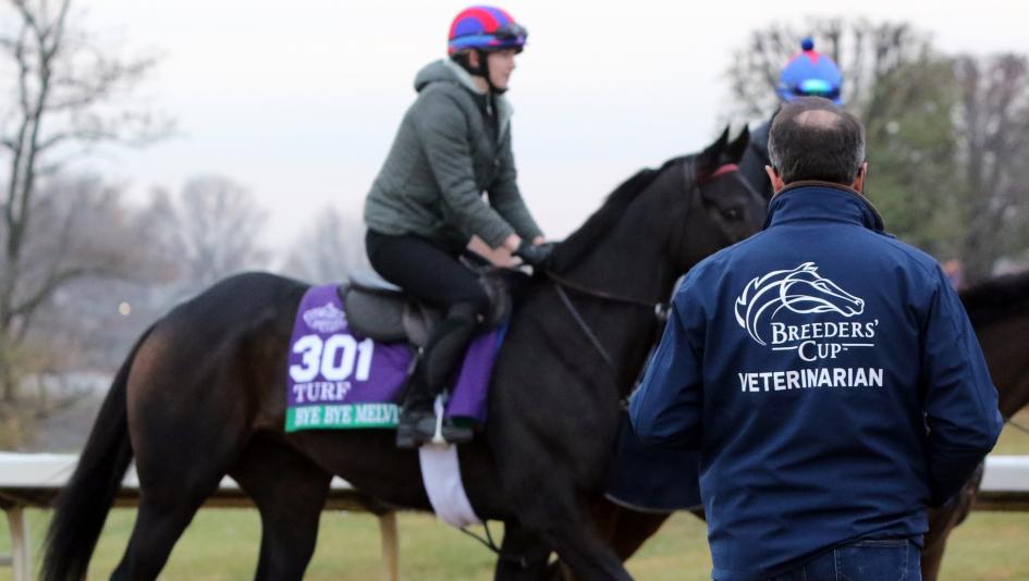 Breeders’ Cup veterinarian horse health exam drug testing banned substances Horseracing Integrity and Safety Authority Delgado Santa Anita Park racetrack surface Peterson
