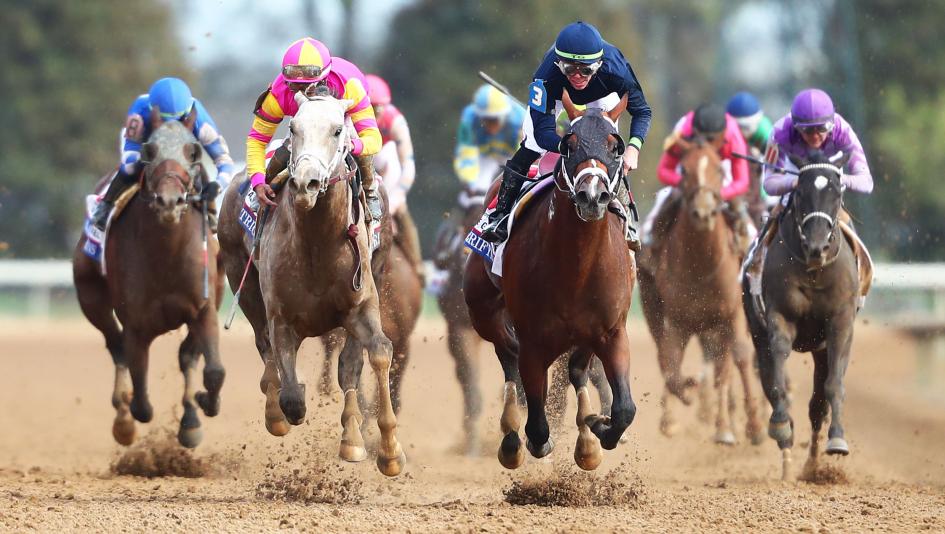 Derby Dozen Kentucky Derby BloodHorse Byron King horse racing Skinner Verifying Mage Confidence Game Kingsbarns Derma Sotogake Verifying Two Phil’s Practical Move Angel of Empire Tapit Trice Forte horse racing