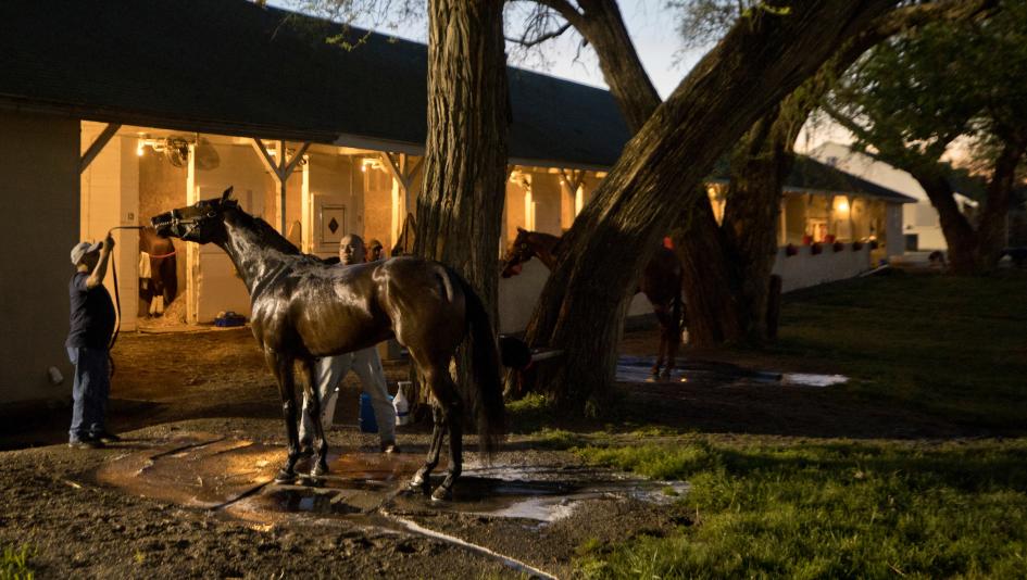 Kentucky Derby Dozen Forte Byron King BloodHorse Tapit Trice Brad Cox Angel of Empire Two Phil’s Verifying Derma Sotogake Jace’s Road Kingsbarns Disarm Confidence Game Mage Javier Castellano Flavien Prat Hit Show Rocket Can Skinner John Shirreffs horse ra