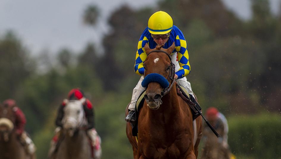 Charlatan will race in the first division of the Arkansas Derby this Saturday at Oaklawn Park.