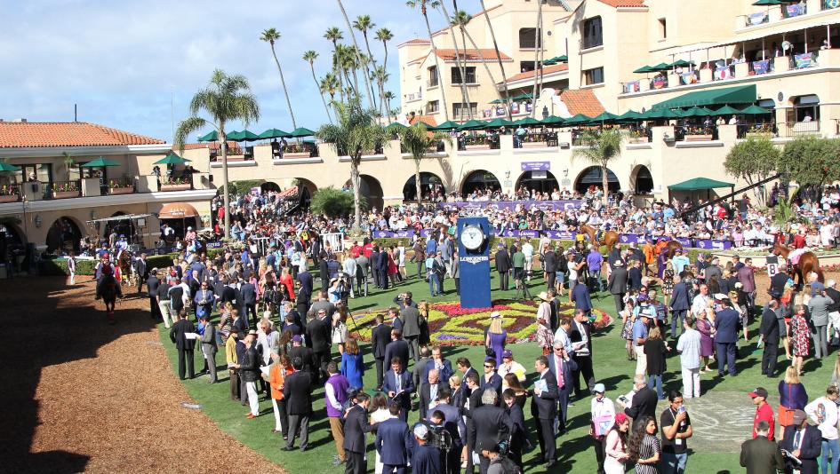 Breeders’ Cup World Championships Del Mar racetrack California San Diego Drew Fleming Joe Harper turf meets the surf