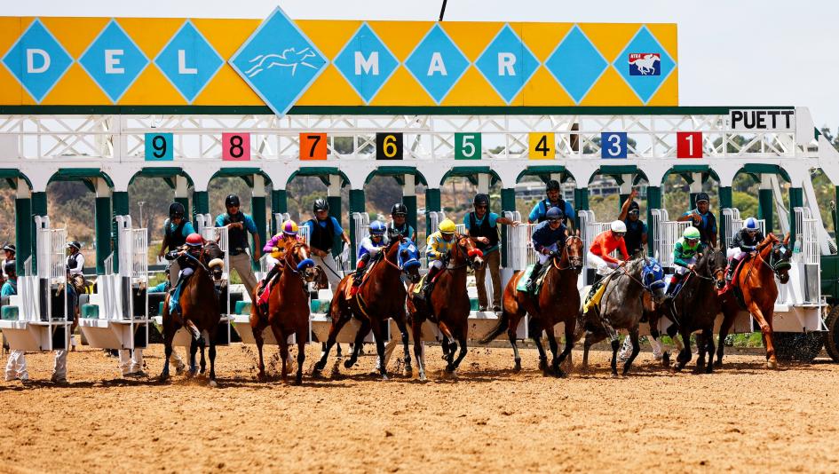 Del Mar horse racing betting handicapping handicappers horseplayers gambling turf dirt speed post position odds route sprint Pacific Classic