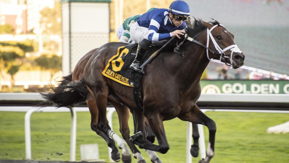 2024 El Camino Real Derby, Endlessly, Golden Gate Fields, Preakness Stakes