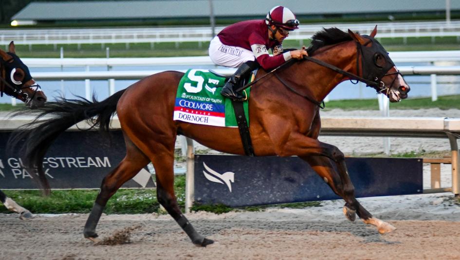 Dornoch, Coolmore Fountain of Youth, Belmont Stakes Presented by NYRA Bets, Saratoga Race Course, Eclipse Sportswire