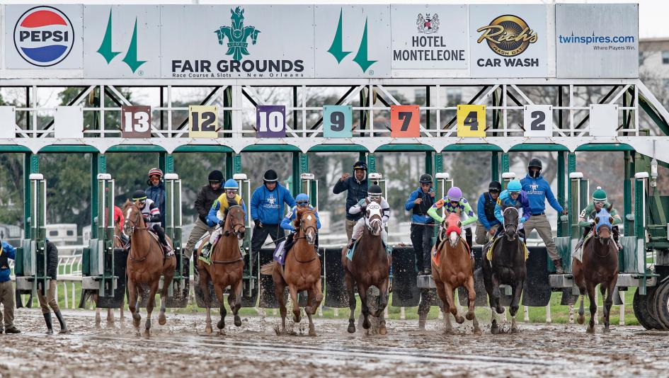 Gun Runner Stakes Fair Grounds Admiral Dennis jockey trainer Brad Cox Kentucky Derby Luis Saez Chris’s Revenge Jaime Torres Brittany Russell Magnitude Jose Ortiz Steve Asmussen Render Judgement Ken McPeek Brian Hernandez Built Corey Lanerie Wayne Catalano