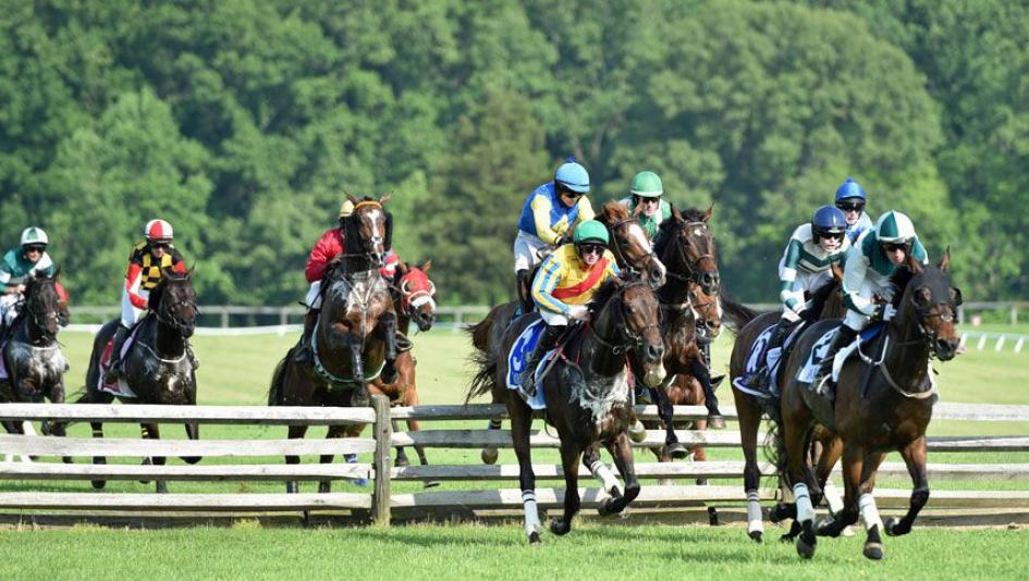 Racing at Fair Hill, site of Saturday's Fair Hill Races.