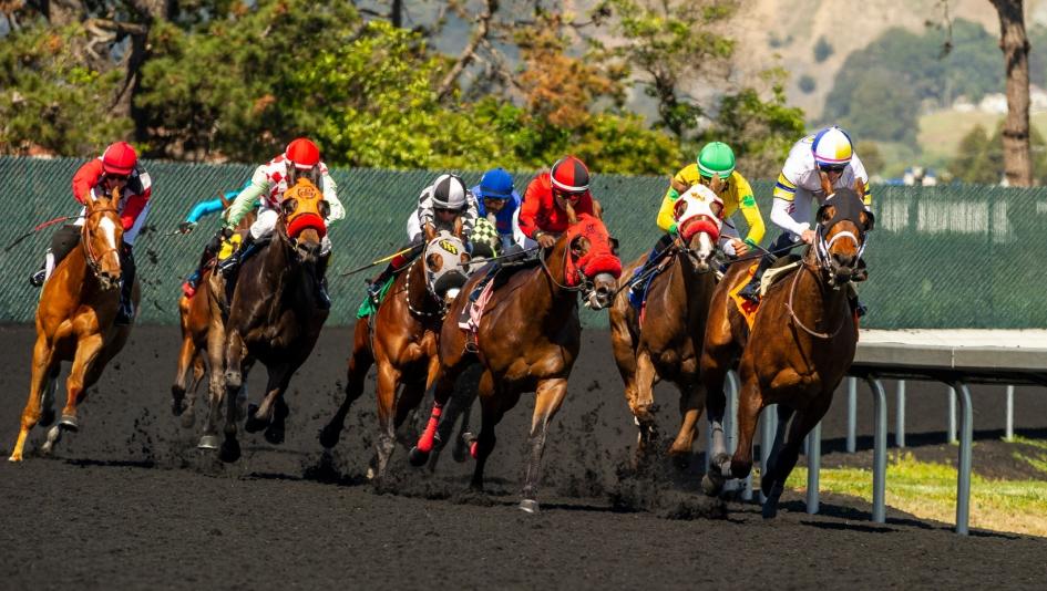 El Camino Real Derby Preakness horse racing Come Out Fighting Grogu Wild Jewels Arctic Breeze filly Old Triangle Endlessly Tapalo Guy Named Joe O’Neill Sadler Blaine Wright McCarthy Rispoli Triple Crown Cheat Sheet 