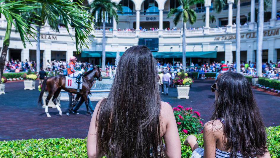 Gulfstream Park, Orchid Stakes, Appleton Stakes, Florida Derby, horse racing, gambling, Gray’s Fable, Steady On, Transient, Amazing Grace, Personal Best