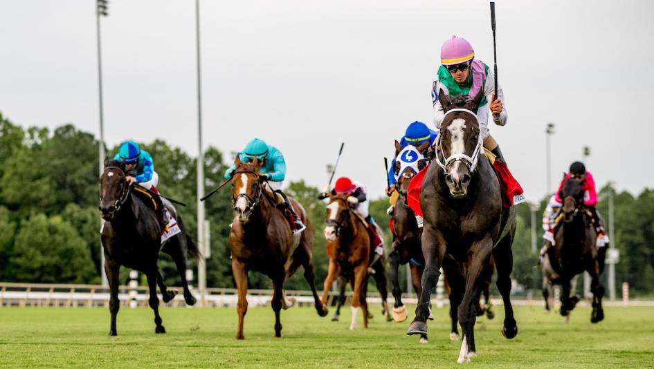2023 Arlington Million, Beverly D. Stakes, Set Piece, Fev Rover, Colonial Downs