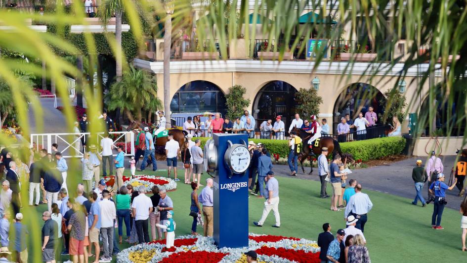 Del Mar, Bob Hope Stakes, Americas Best Racing, Penelope Miller