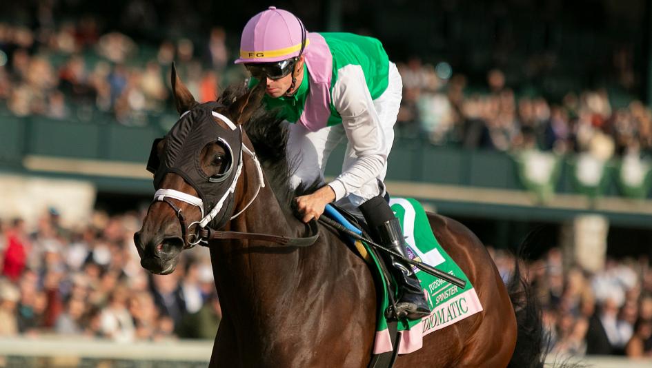 Idiomatic Spinster Stakes Keeneland Breeders’ Cup Distaff horse racing Brad Cox Florent Geroux Juddmonte Personal Ensign Curlin Monomoy Girl Nest