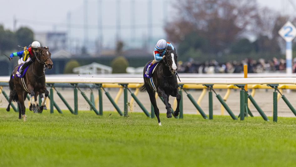 Equinox, Japan Cup, jockey Christophe Lemaire, Eclipse Sportswire