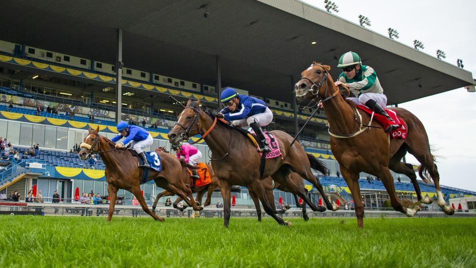 Walk In Marrakesh (far right), second by a nose in the 2019 Natalma at Woodbine, will attempt to win the Ontario Colleen