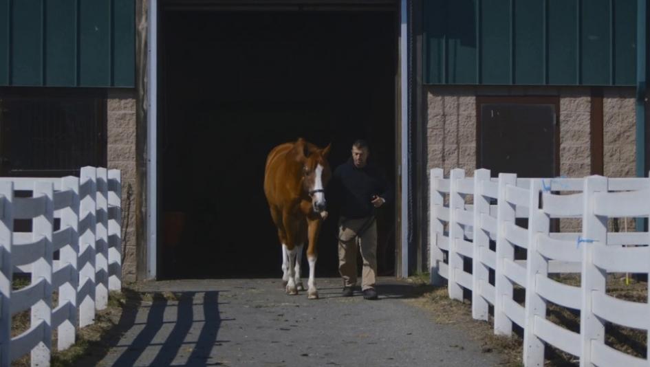 The Man O' War Project utilizes retired racehorses to treat U.S. veterans with PTSD.