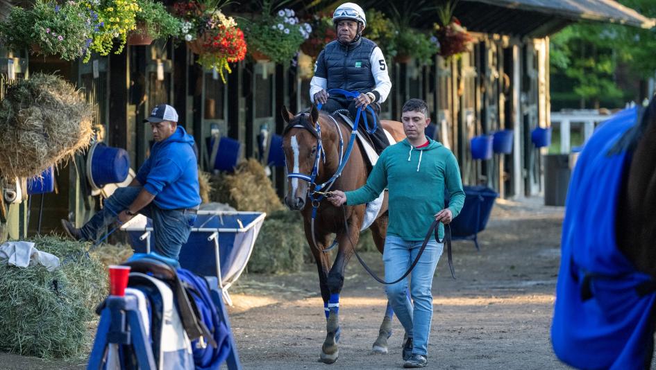 Kentucky Derby winner Mystik Dan, Saratoga Race Course, 2024 Belmont Stakes