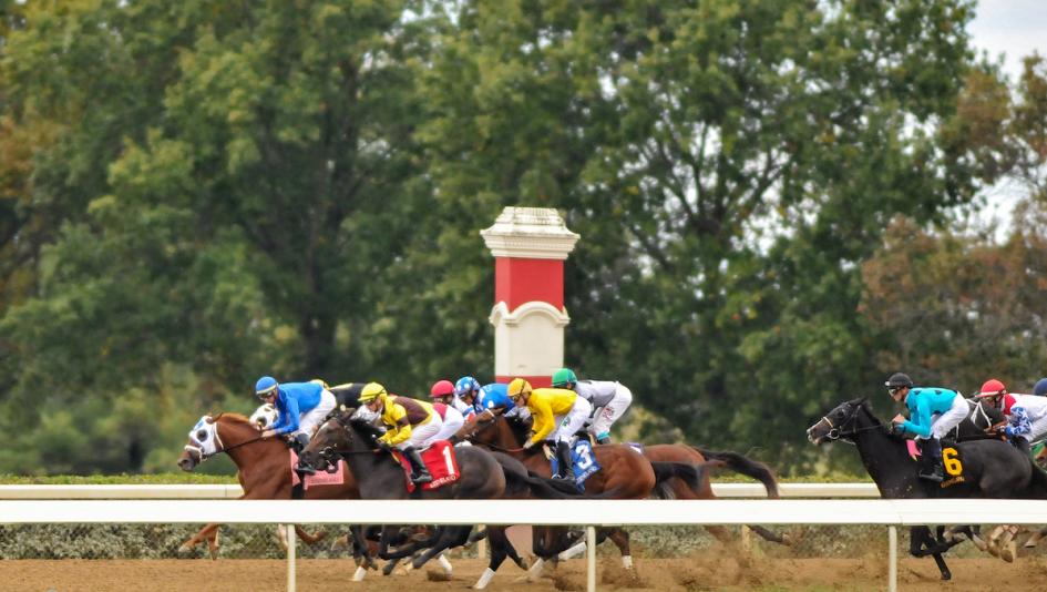 Vahva, Alva Starr, Keenelad, 2023 Raven Run Stakes