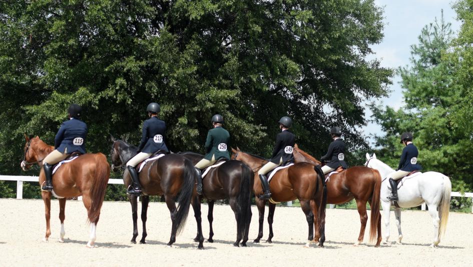 Training a retired racehorse can bring its own challenges, but it is always rewarding.