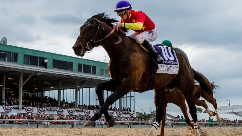 Quip Preakness Tampa Bay Derby Rodolphe Brisset