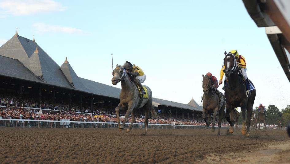 Rachel Alexandra, Macho Again, Bullsbay, Woodward Stakes, Saratoga Race Course, Coglianese photos