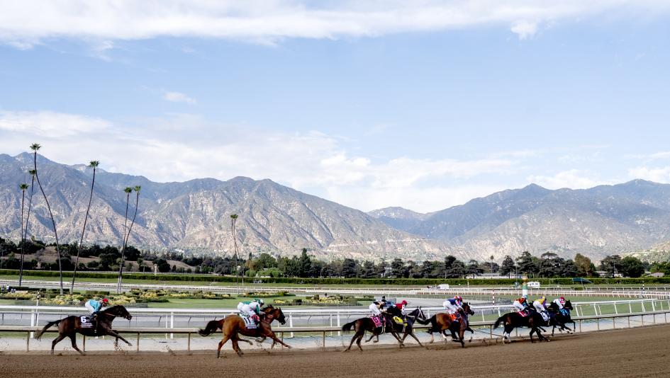 Racing returns to Santa Anita Park this weekend.