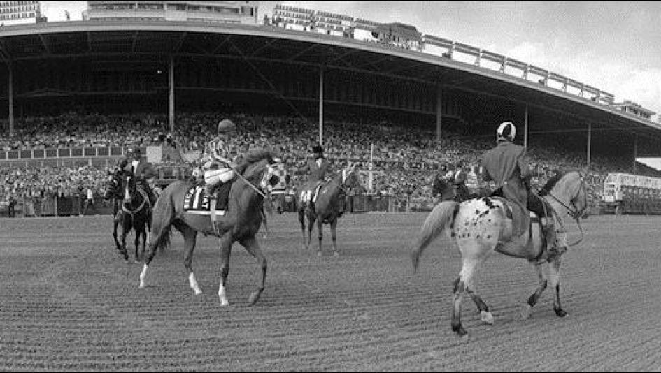 Secretariat prior to his win in the Arlington Invitational Stakes.