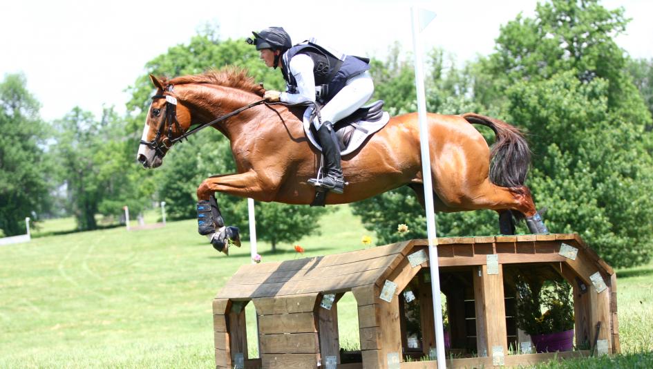 After more than 60 starts on the racetrack, Sharp Johnny has transitioned well to a second career.