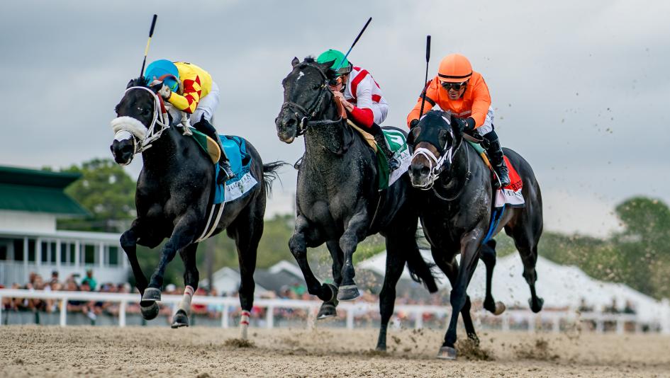 Domestic Product, Chad Brown, 2024 Tampa Bay Derby, Tampa Bay Downs
