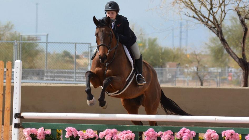 Thoroughbred Incentive Program T.I.P. aftercare OTTB retired racehorse competition championships Aiken South Carolina hunter jumper English pleasure dressage ranch riding trail in-hand awards charities Kristen Werner