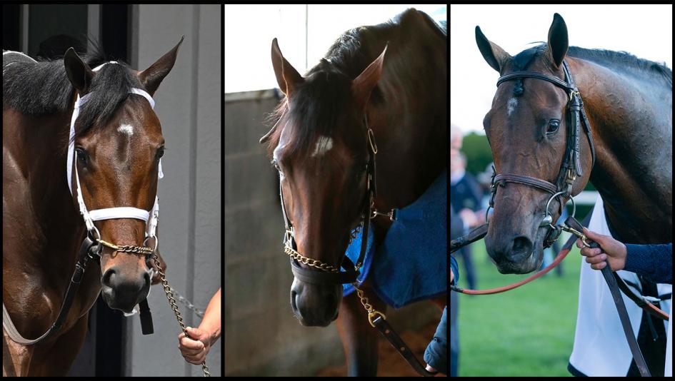 Fierceness, Catching Freedom, Sierra Leone, Kentucky Derby, Churchill Downs