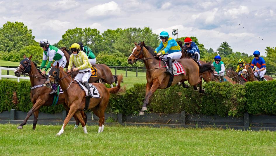Great Meadow, The Plains, Va., Virginia Gold Cup