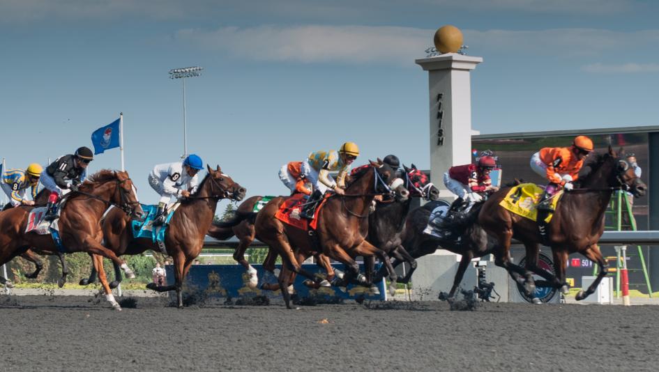 Racing on Woodbine's all-weather surface.