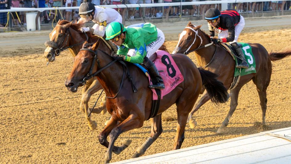 Mo Plex, Studlydoright, Sanford Stakes, Saratoga Race Course, Eclipse Sportswire