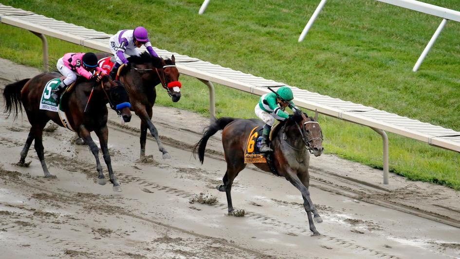 Haskell Stakes Exaggerator Eclipse Sportswire