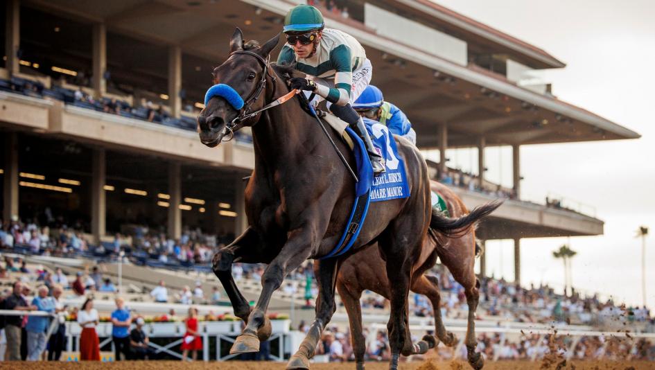 Adare Manor Clement L. Hirsch Del Mar Win and You’re In Longines Distaff Michael Lund Petersen Bob Baffert Juan Hernandez Challenge Series filly Santa Maria Santa Margarita pedigree horse racing