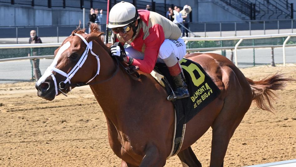Antiquarian Belmont Stakes Peter Pan Saratoga Todd Pletcher John Velazquez Centennial Farms horse racing Triple Crown Louisiana Derby speed figures pedigree Thoroughbred horse racing