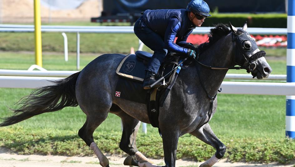 Arcangelo Belmont Stakes Triple Crown Belmont Park Javier Castellano Peter Pan Jena Antonucci Jon Ebbert Blue Rose Farm Arrogate pedigree horse racing