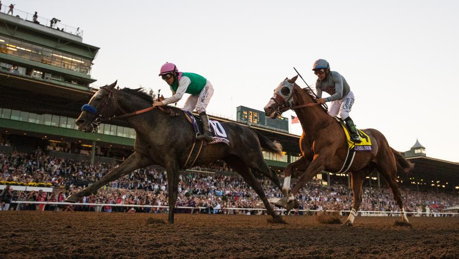 Breeders’ Cup World Championships Santa Anita Park California racetrack horse racing Mandella Zenyatta Beholder Wise Dan Arrogate Groupie Doll Napravnik Lukas Mike Smith jockey trainer dead heat Johar High Chaparral California Chrome